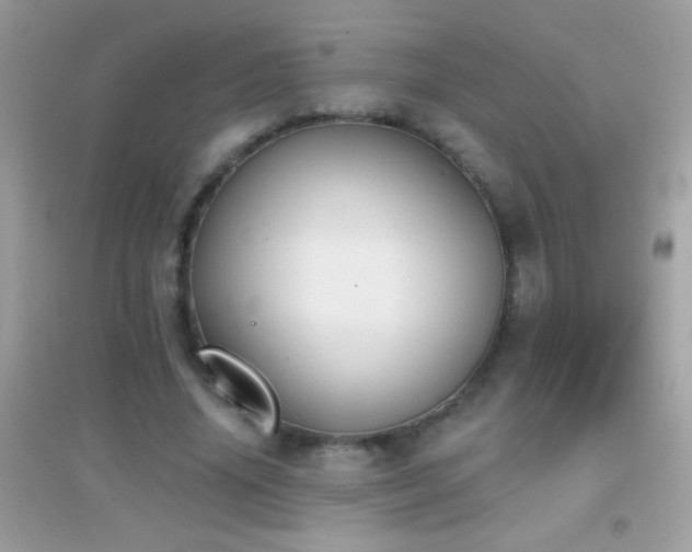 X0000095110636200712071218