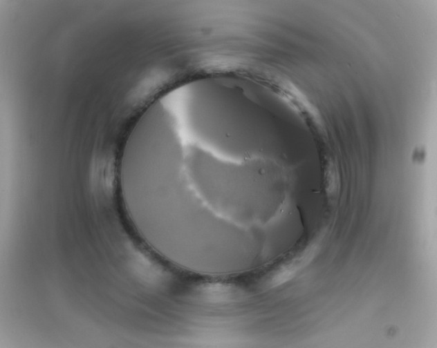 X0000095110637200712071218