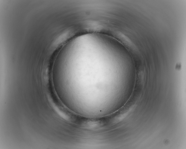 X0000095110638200712071218