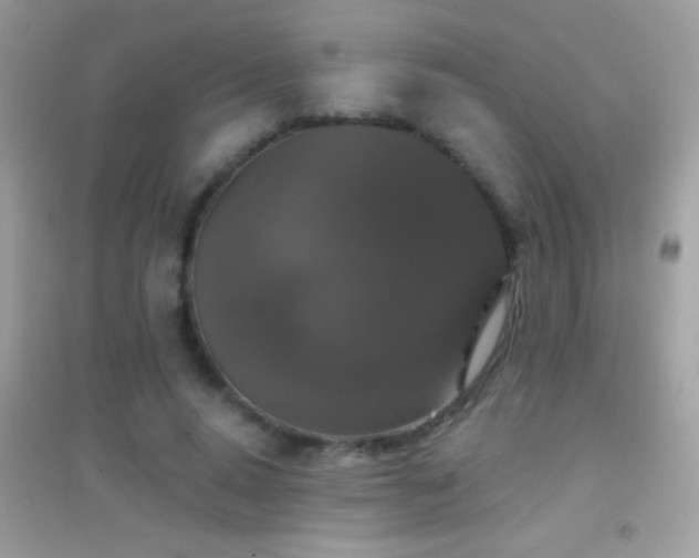 X0000095110640200712071218