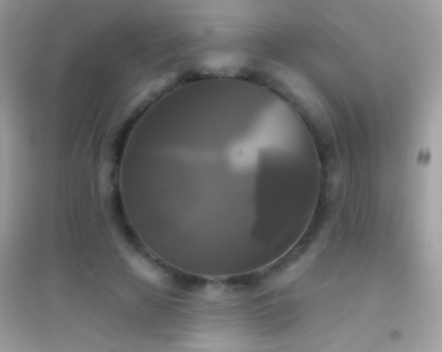 X0000095110641200712071218