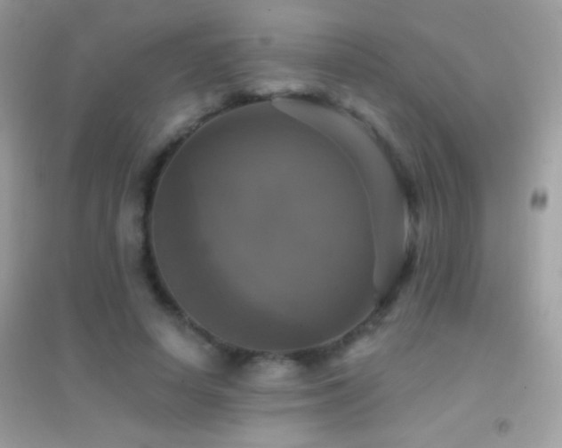 X0000095110642200712071218