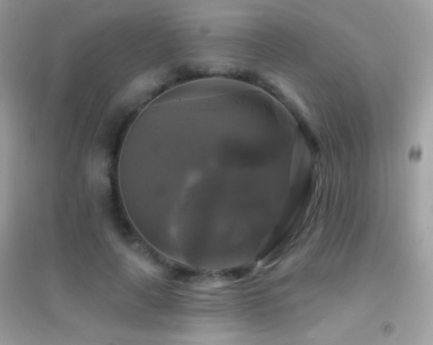 X0000095110643200712071218