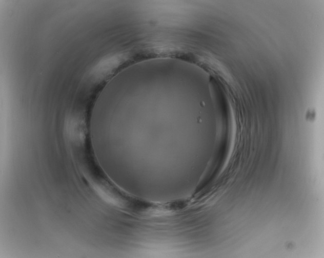 X0000095110644200712071218