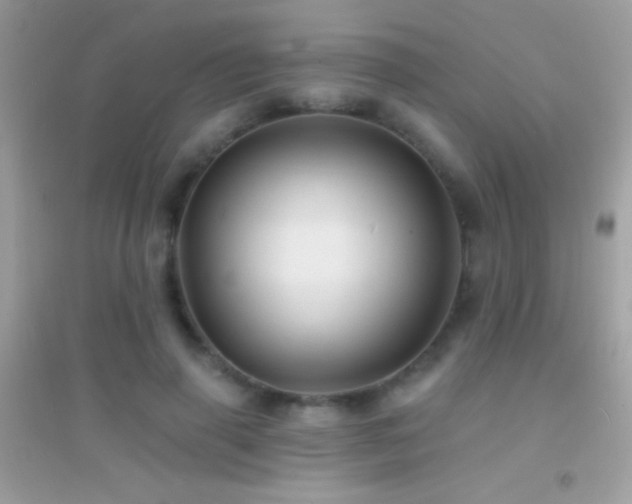 X0000095110645200712071218