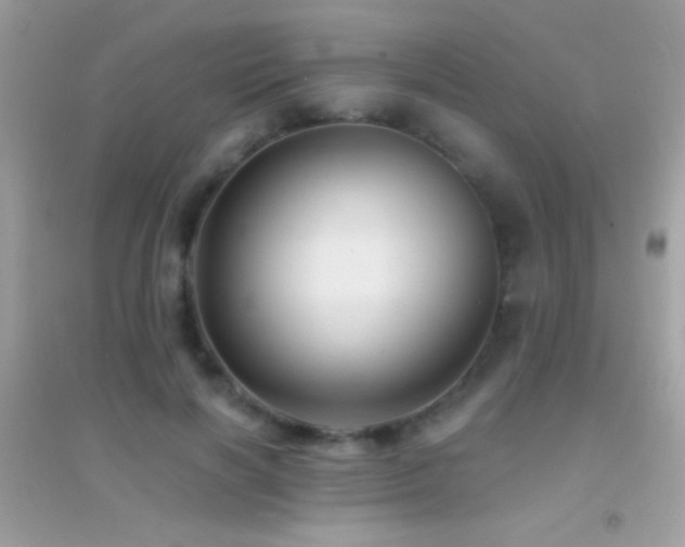 X0000095110646200712071218