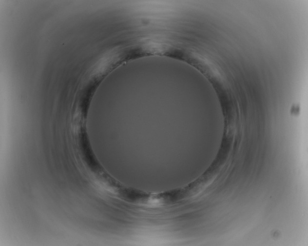 X0000095110647200712071218