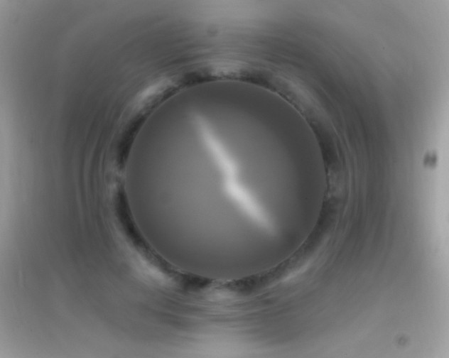 X0000095110648200712071218