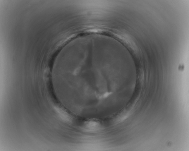 X0000095110649200712071218