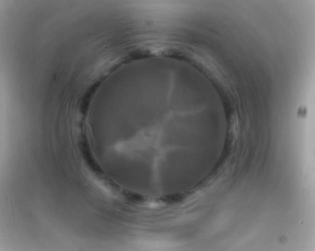 X0000095110650200712071218