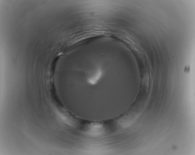 X0000095110651200712071218