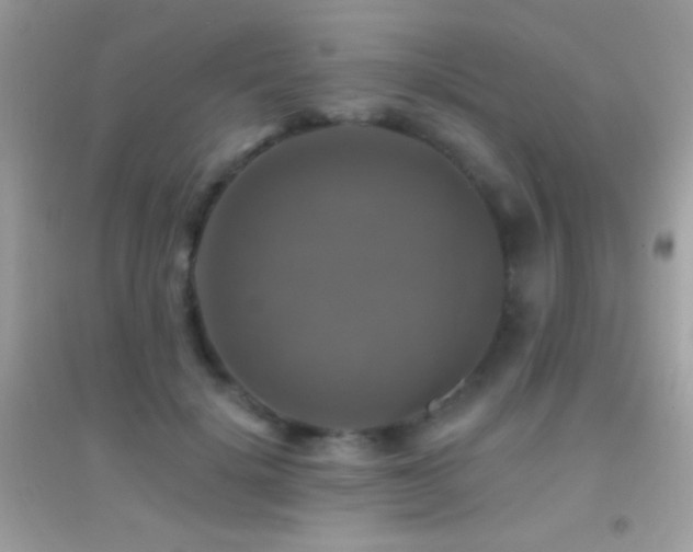 X0000095110652200712071218