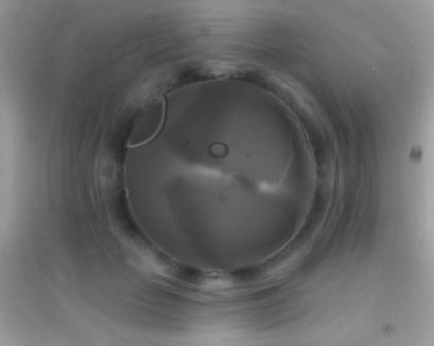 X0000095110653200712071218