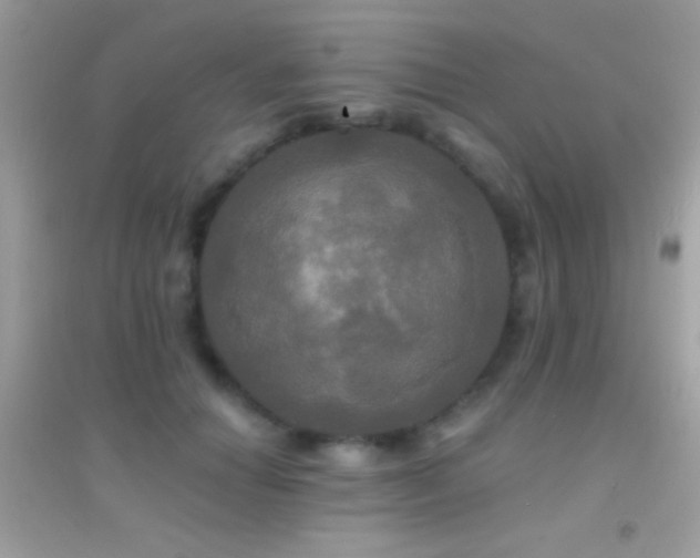 X0000095110654200712071218