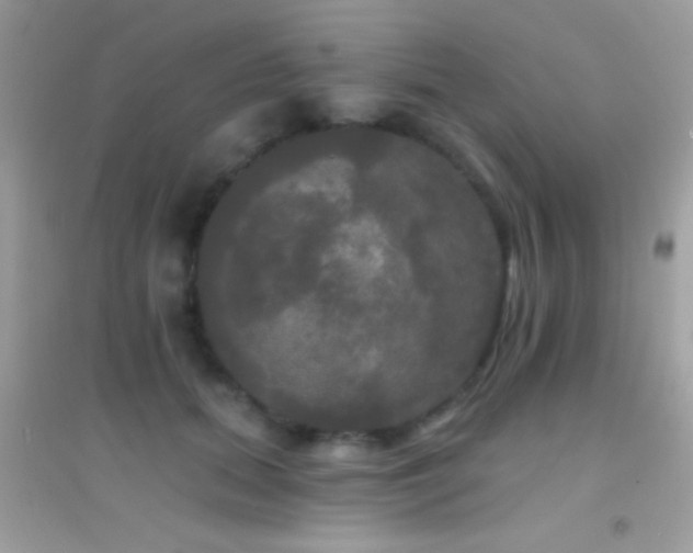 X0000095110655200712071218