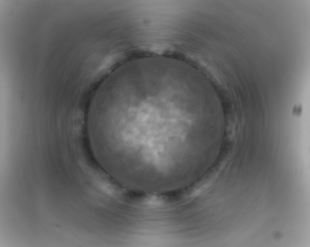 X0000095110656200712071218