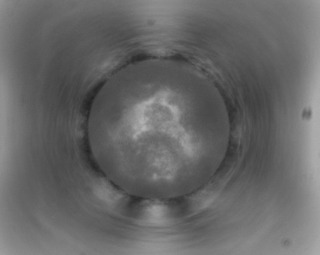 X0000095110658200712071218