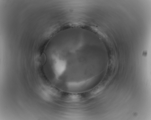 X0000095110659200712071218