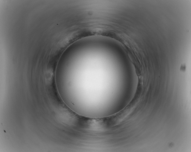 X0000095110660200712071218