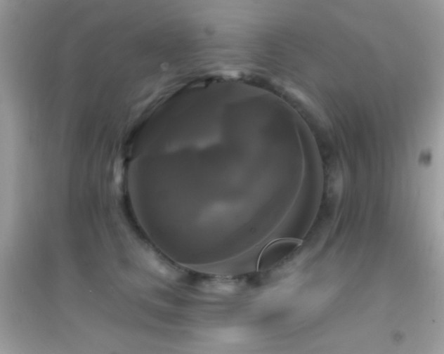 X0000095110661200712071218