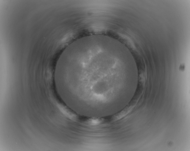 X0000095110662200712071218