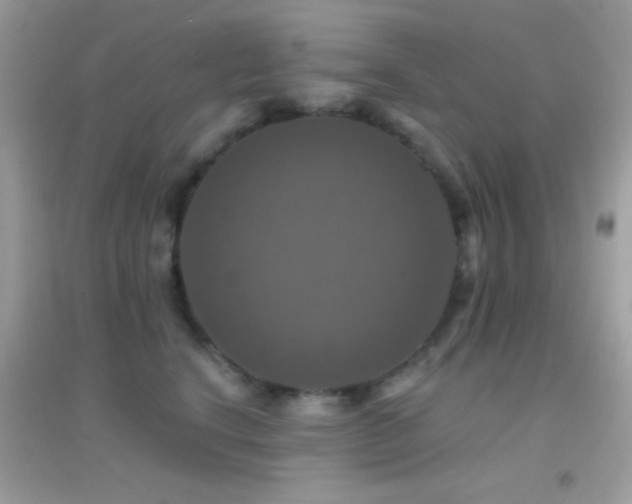 X0000095110664200712071218