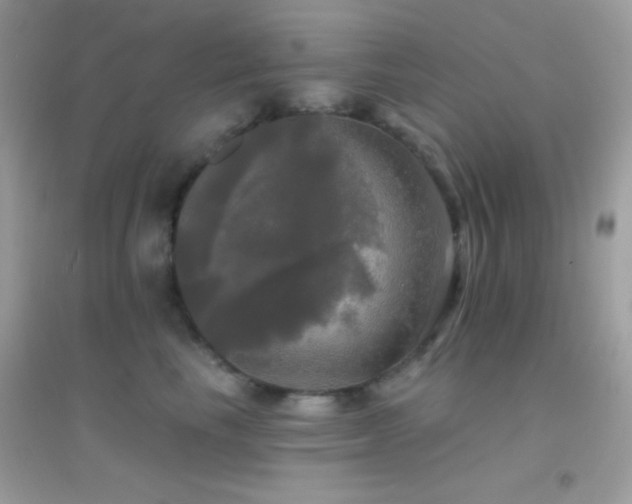 X0000095110665200712071218