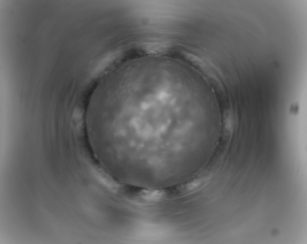 X0000095110667200712071218