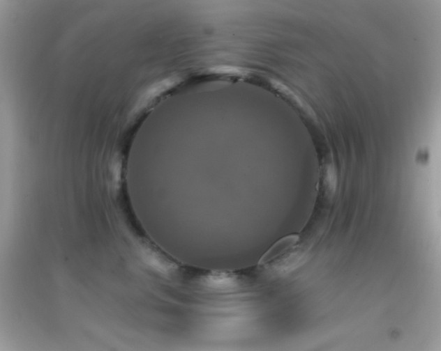 X0000095110668200712071218