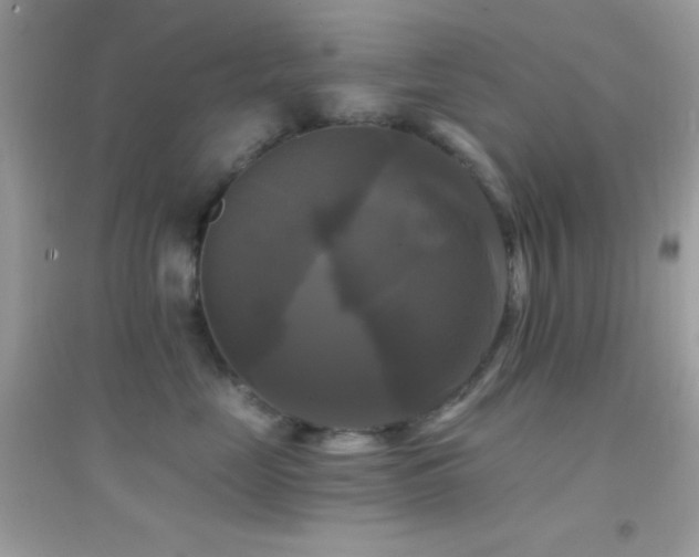 X0000095110669200712071218