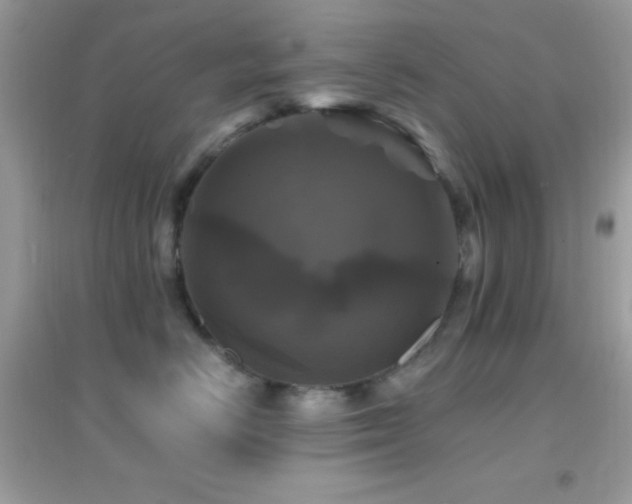 X0000095110670200712071218