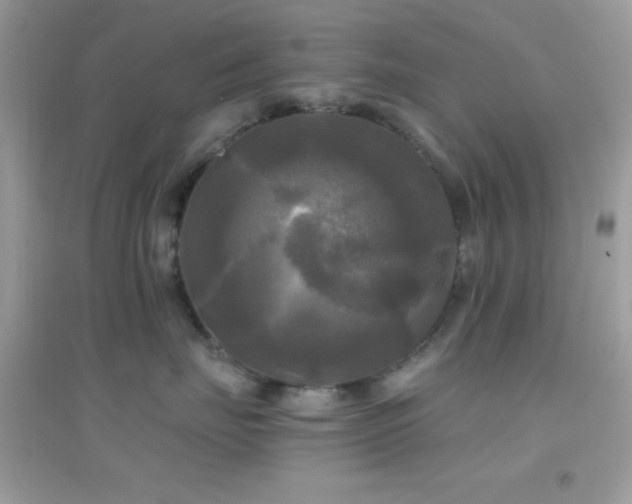 X0000095110671200712071218