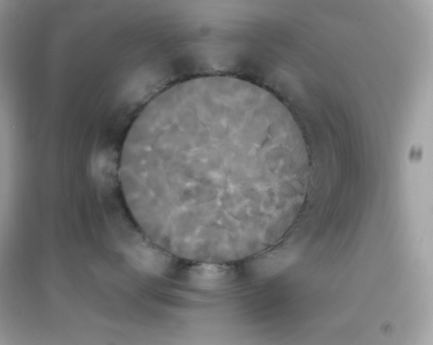 X0000095110672200712071218