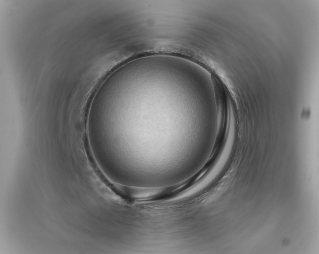 X0000095110673200712071218