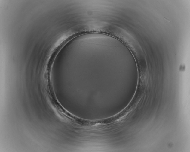 X0000095110674200712071218