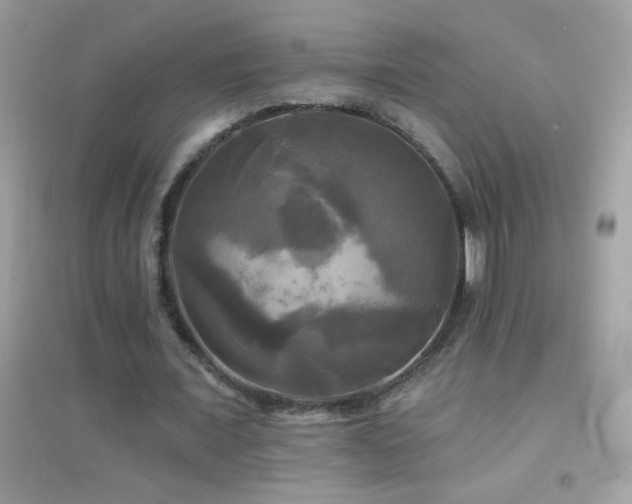 X0000095110675200712071218