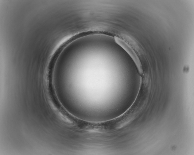 X0000095110676200712071218