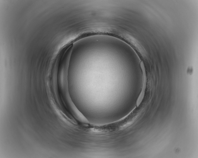 X0000095110677200712071218