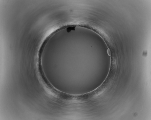 X0000095110678200712071218