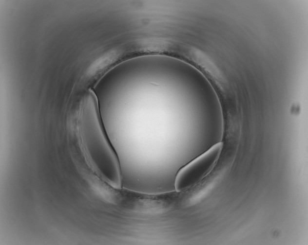 X0000095110681200712071218