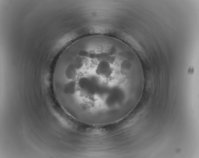 X0000095110683200712071218