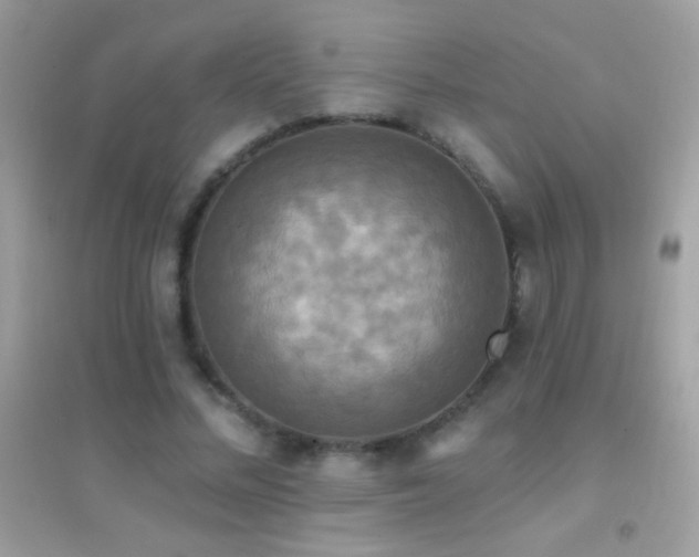 X0000095110684200712071218