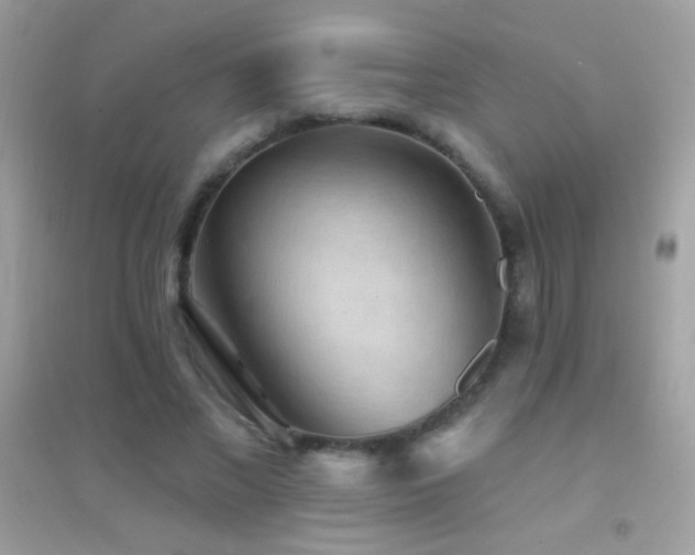 X0000095110685200712071217