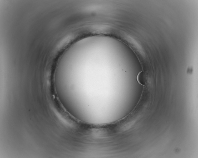 X0000095110686200712071217