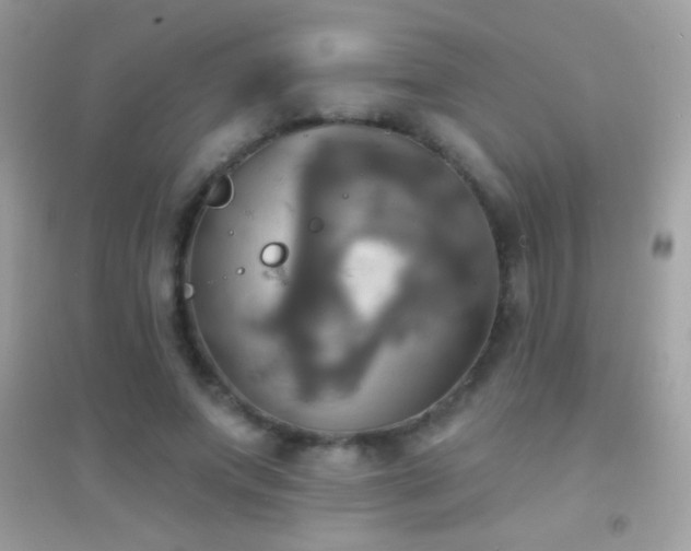 X0000095110687200712071217