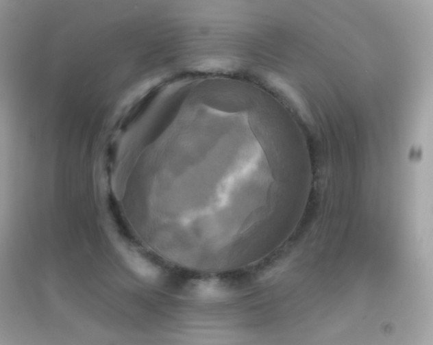 X0000095110688200712071217