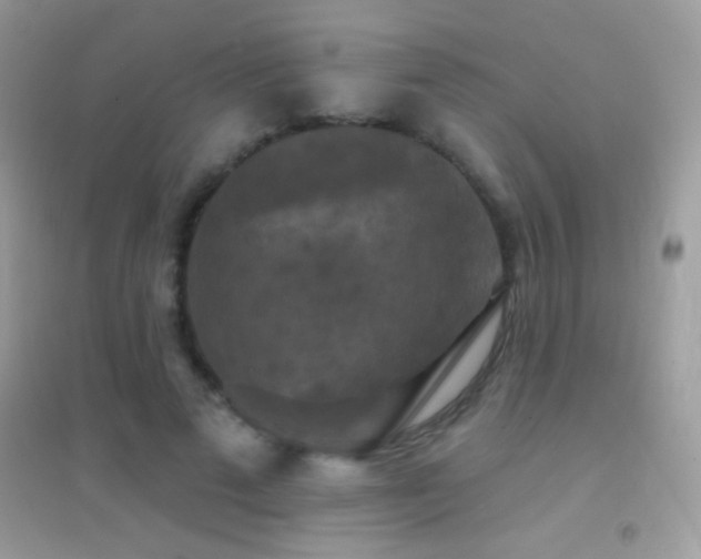 X0000095110689200712071217