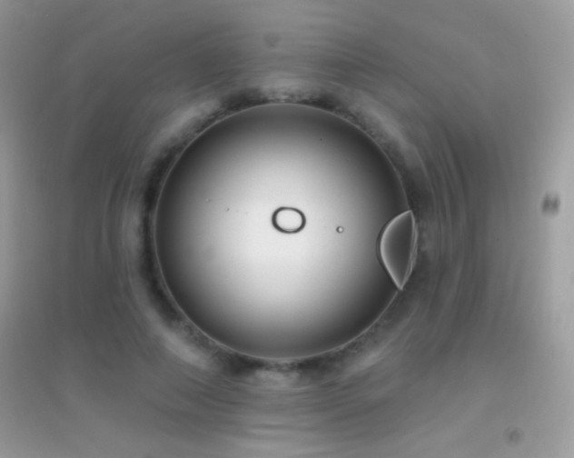 X0000095110690200712071217