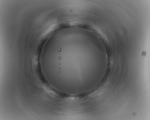 X0000095110691200712071217