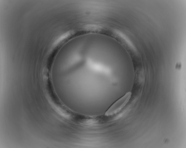 X0000095110692200712071217